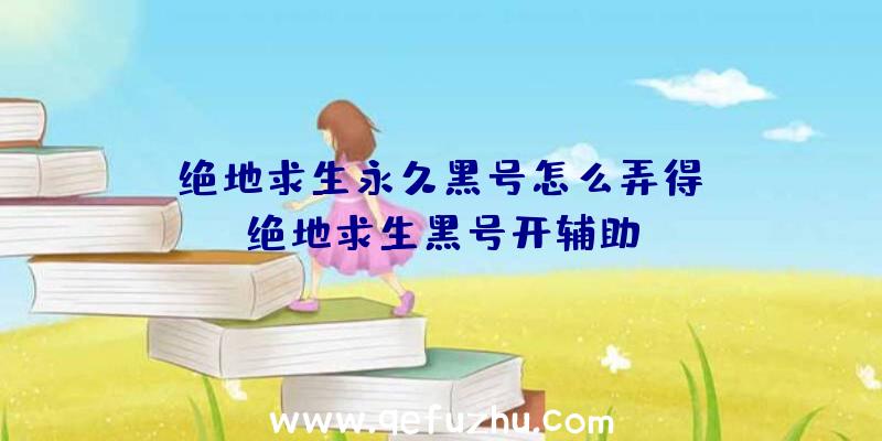 「绝地求生永久黑号怎么弄得」|绝地求生黑号开辅助